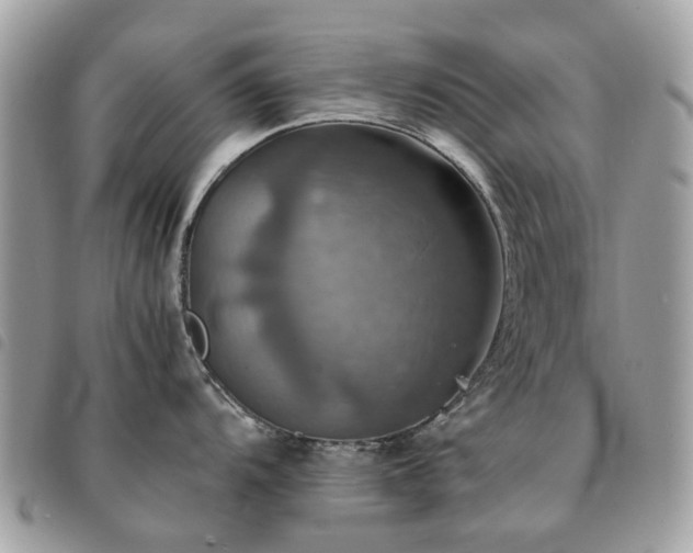 X0000091541104200708171238