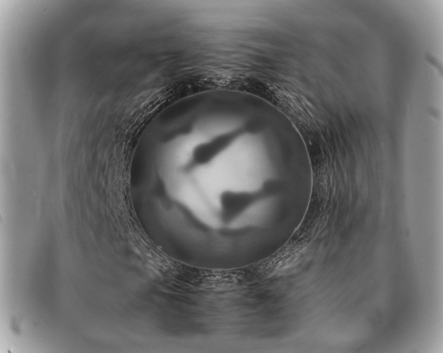 X0000091541105200708171238