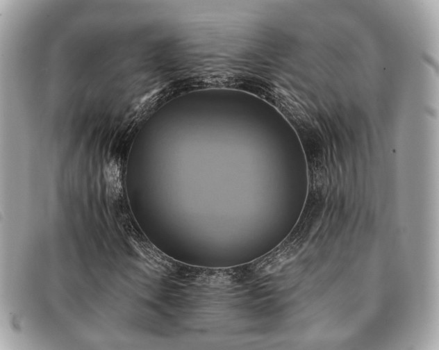 X0000091541106200708171238