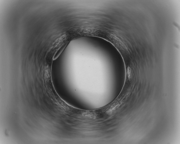 X0000091541107200708171238