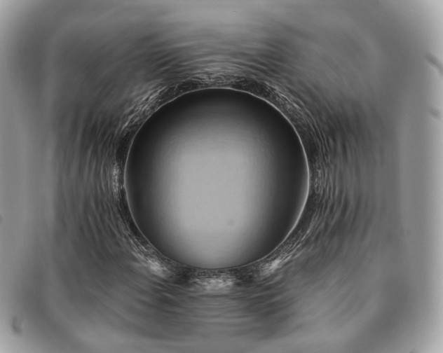 X0000091541108200708171238