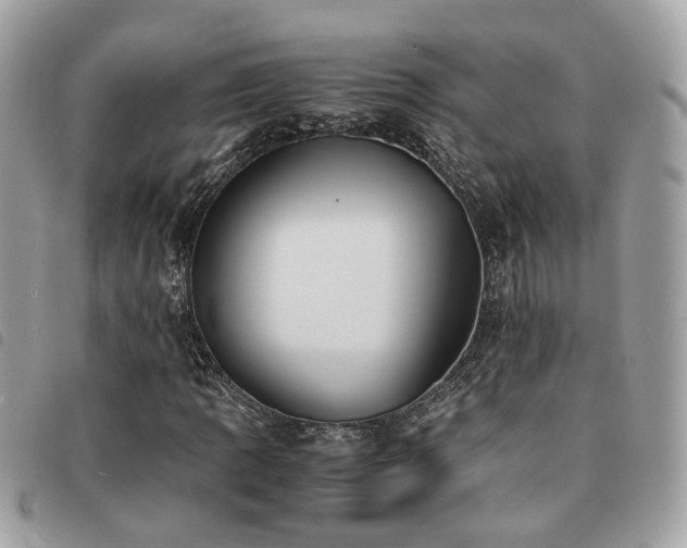 X0000091541109200708171238