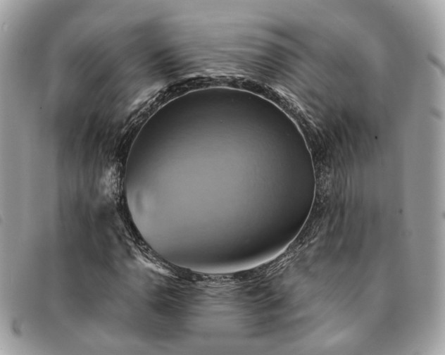 X0000091541110200708171238