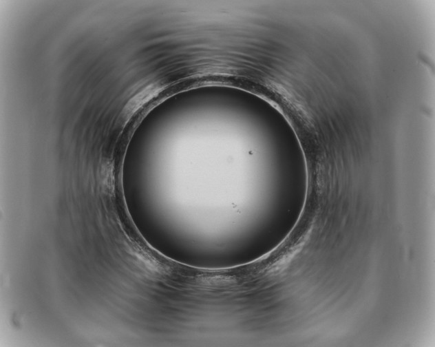 X0000091541113200708171238