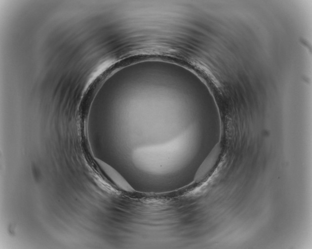 X0000091541114200708171238