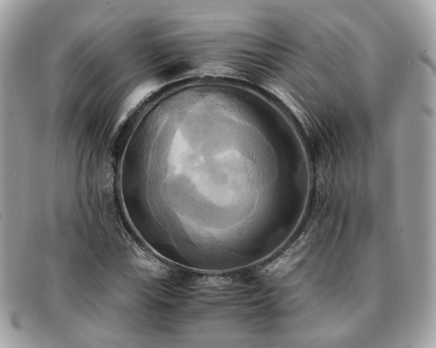 X0000091541115200708171238