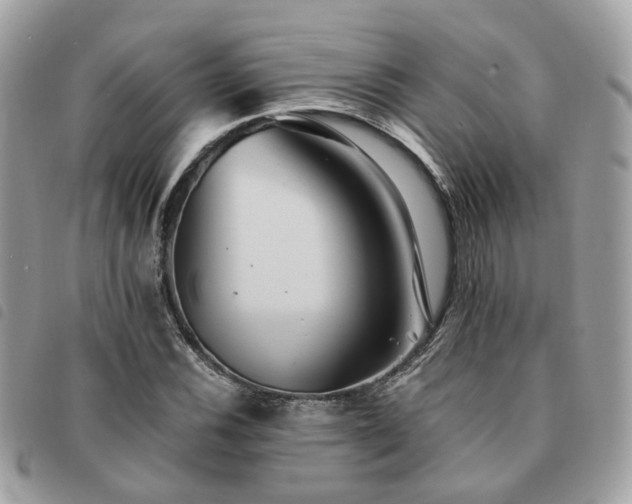X0000091541116200708171238