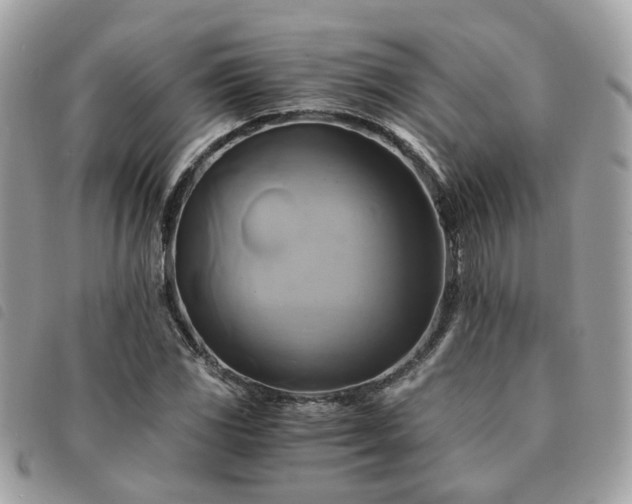 X0000091541117200708171238
