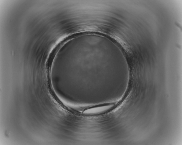 X0000091541118200708171238