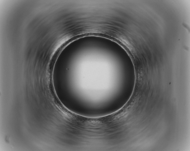 X0000091541119200708171238
