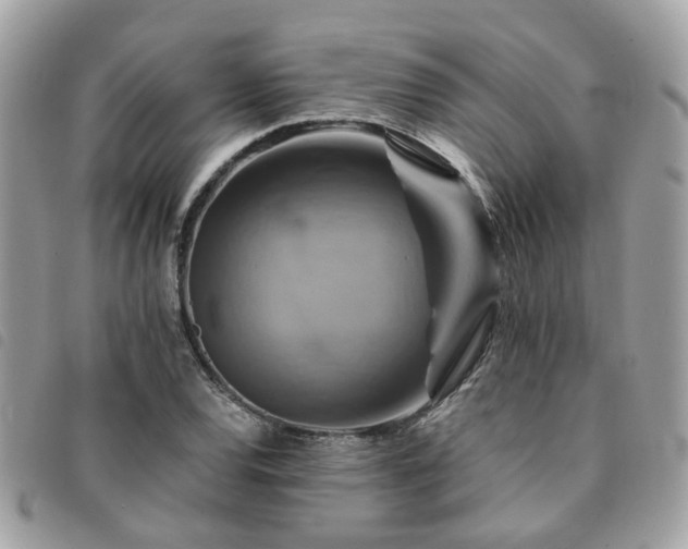 X0000091541120200708171238