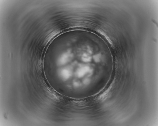 X0000091541121200708171238