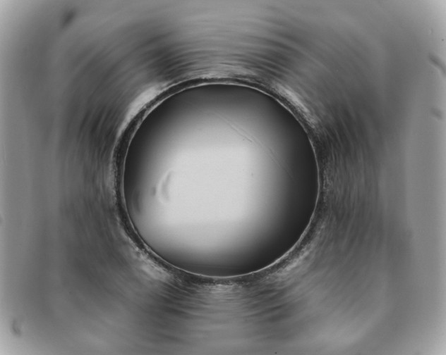 X0000091541122200708171238