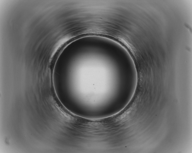 X0000091541123200708171238