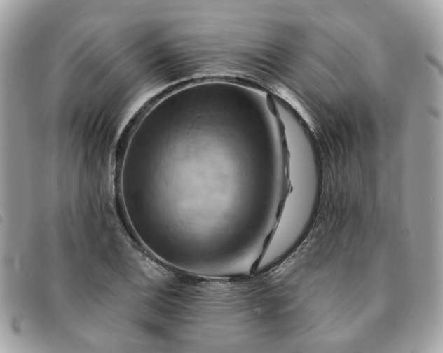 X0000091541124200708171238