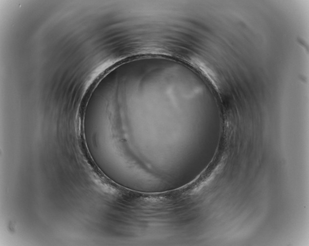 X0000091541125200708171238