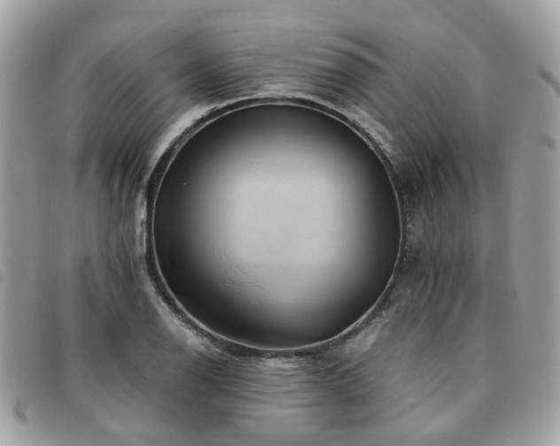 X0000091541126200708171238