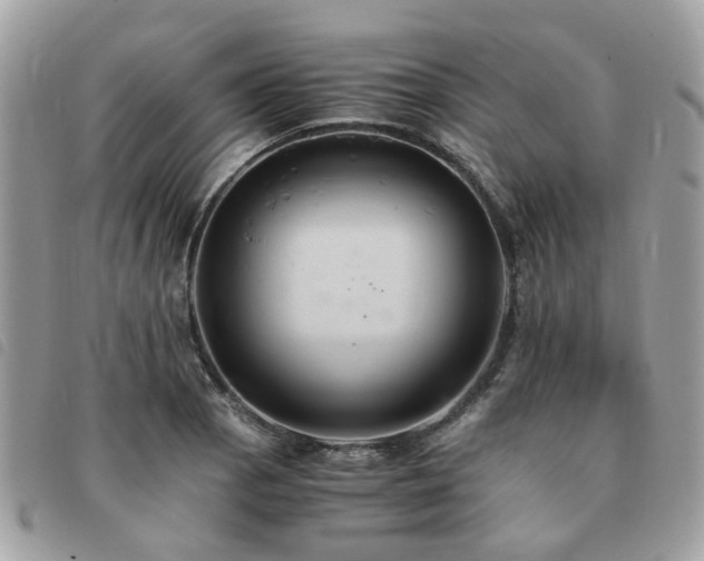 X0000091541129200708171238