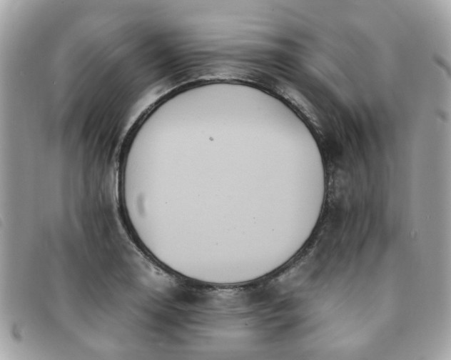 X0000091541130200708171238