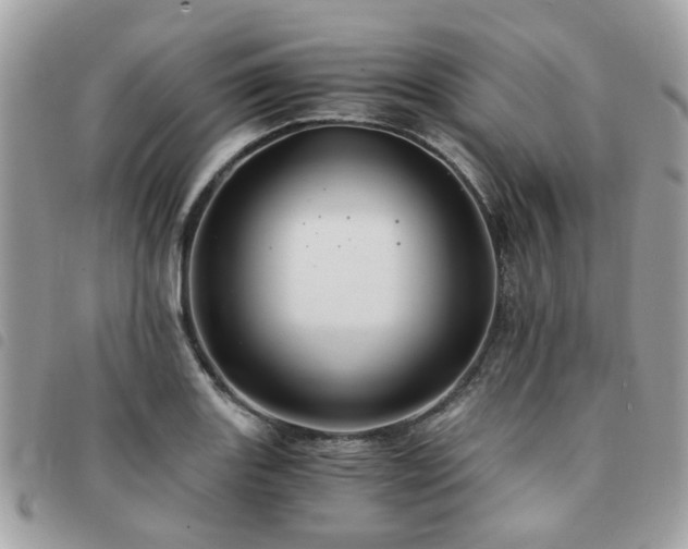 X0000091541131200708171238