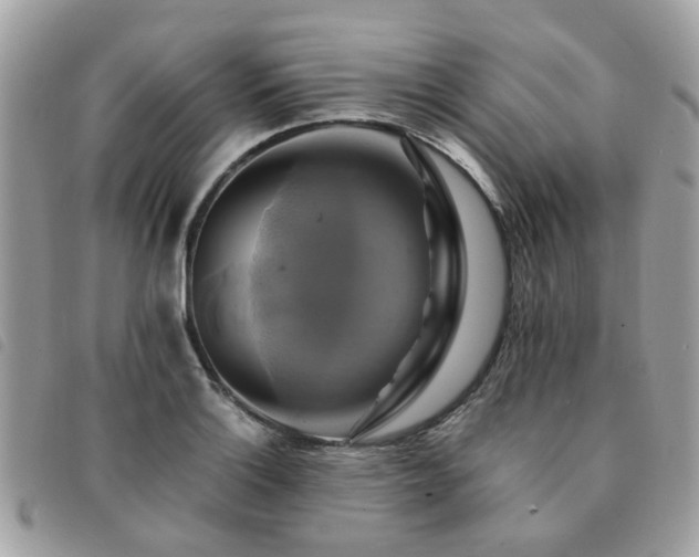 X0000091541132200708171238
