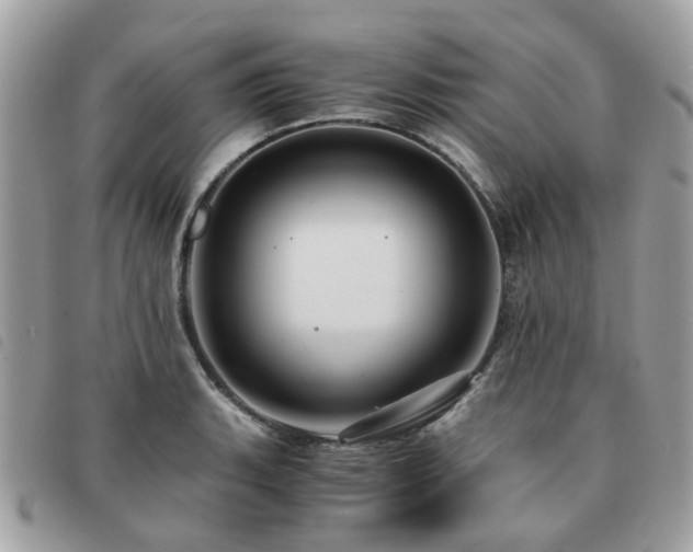 X0000091541135200708171238