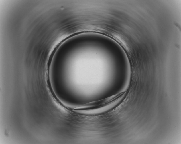 X0000091541136200708171238