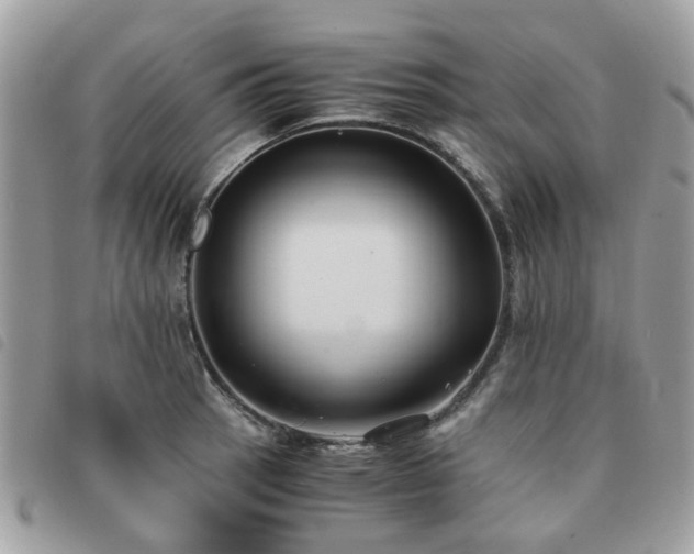 X0000091541137200708171238