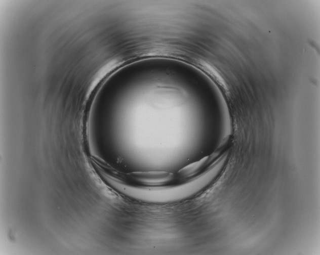 X0000091541138200708171238