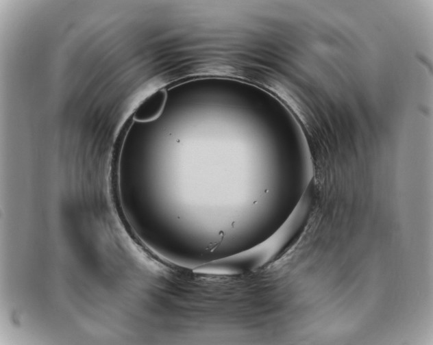 X0000091541139200708171238
