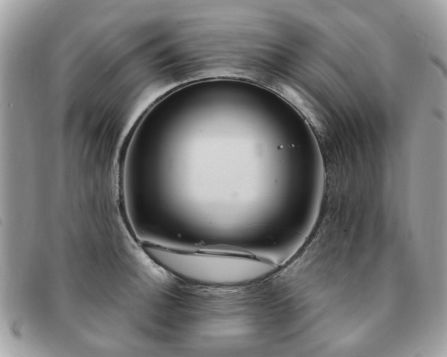 X0000091541140200708171238