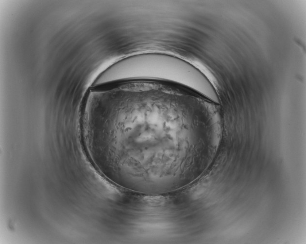 X0000091541142200708171238