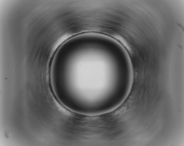 X0000091541143200708171238