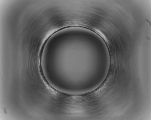 X0000091541144200708171238