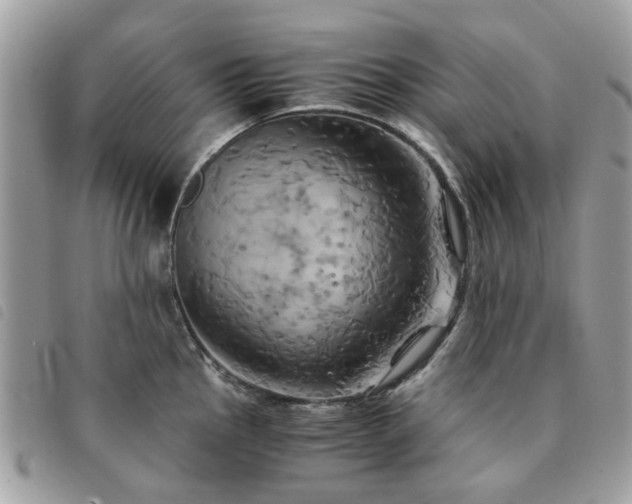X0000091541145200708171238