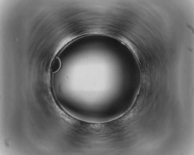 X0000091541147200708171238