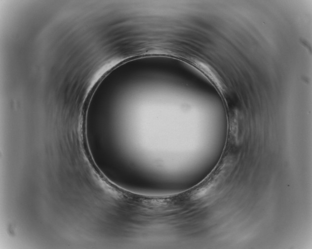 X0000091541149200708171238