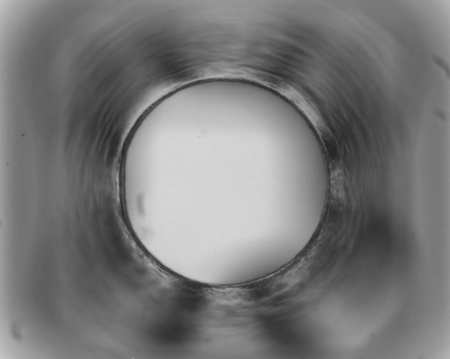 X0000091541150200708171238