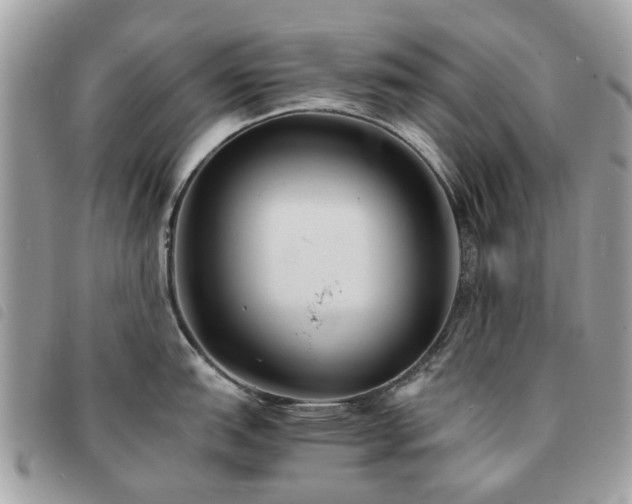 X0000091541151200708171238