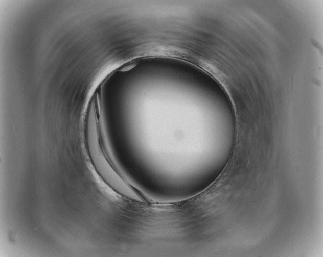 X0000091541152200708171238