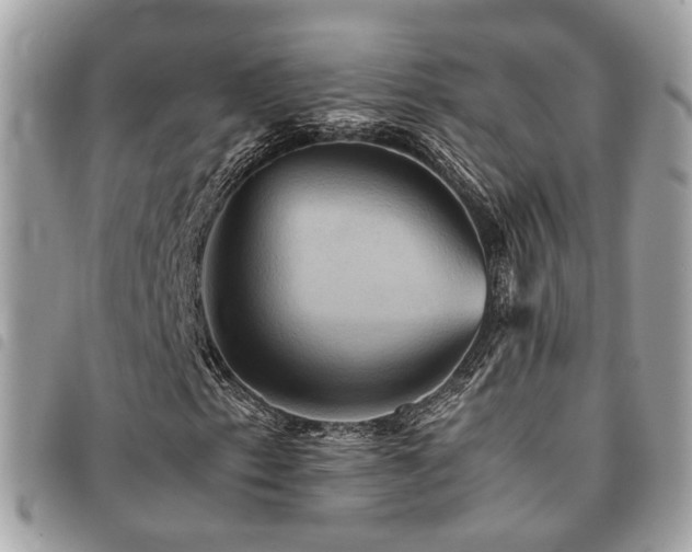 X0000091541153200708171238