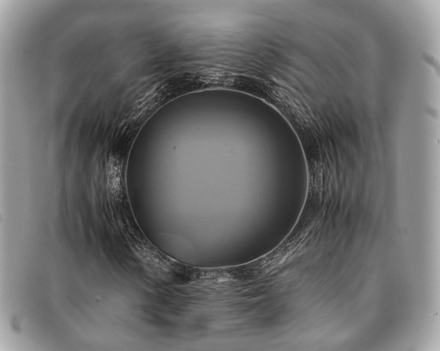 X0000091541154200708171238