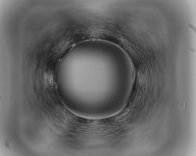 X0000091541155200708171237
