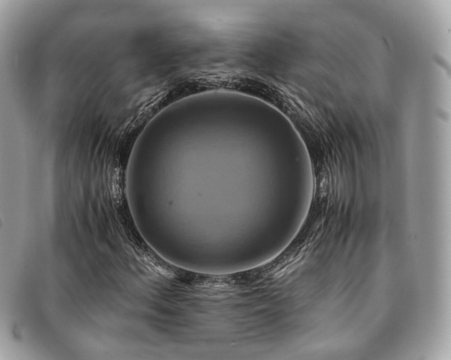 X0000091541156200708171237
