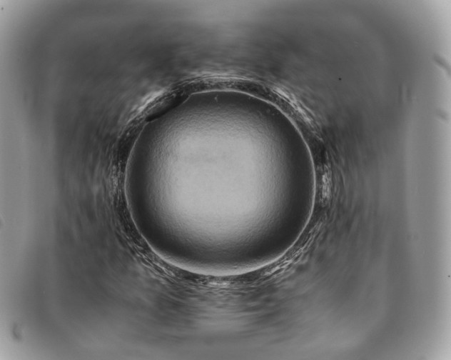 X0000091541157200708171237