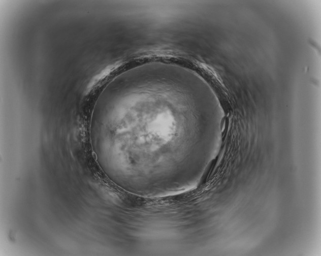 X0000091541159200708171237