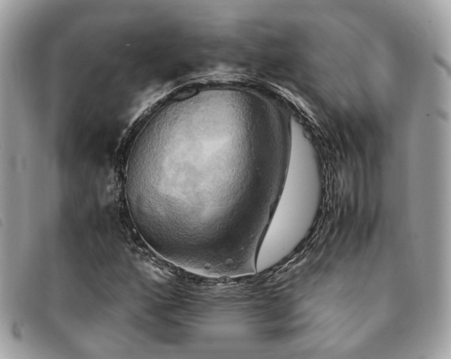 X0000091541160200708171237