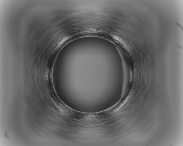 X0000091541161200708171237