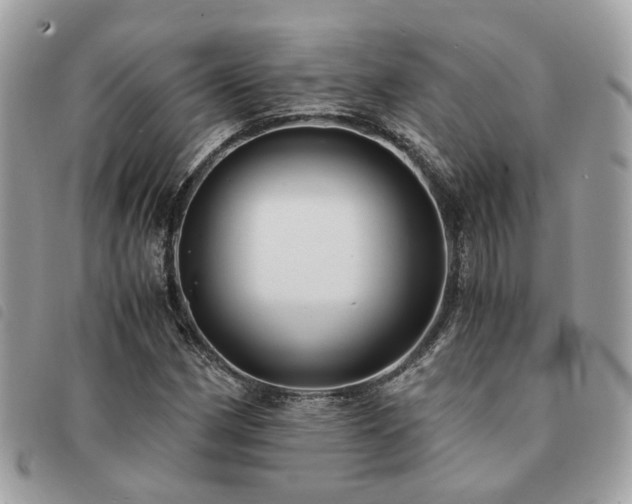 X0000091541162200708171237