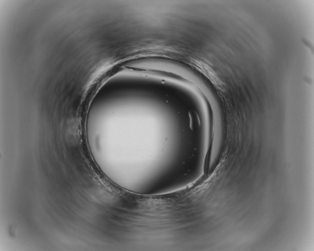 X0000091541164200708171237